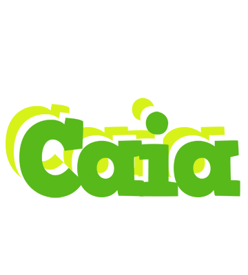 Caia picnic logo