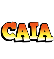 Caia sunset logo