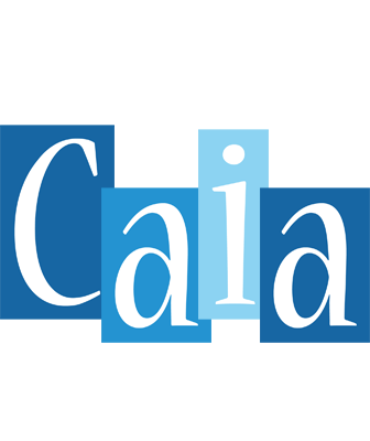 Caia winter logo