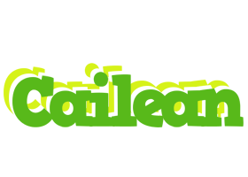 Cailean picnic logo