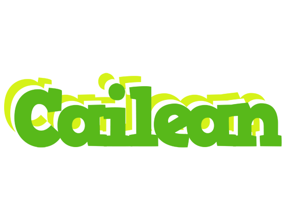 Cailean picnic logo