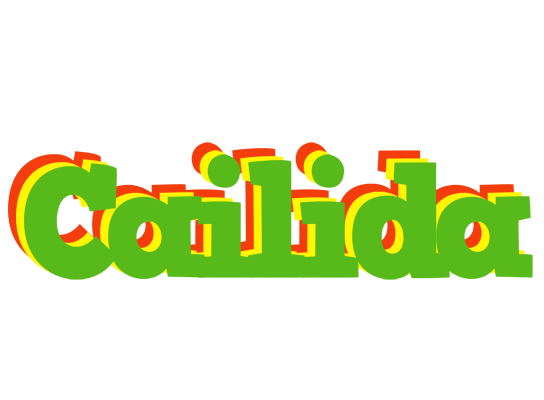 Cailida crocodile logo