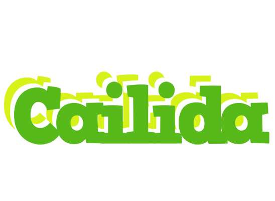 Cailida picnic logo