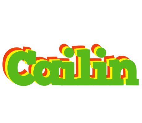 Cailin crocodile logo
