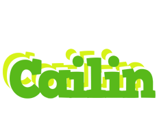 Cailin picnic logo