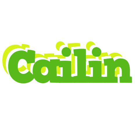 Cailin picnic logo