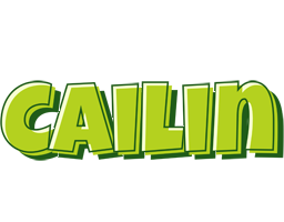 Cailin summer logo