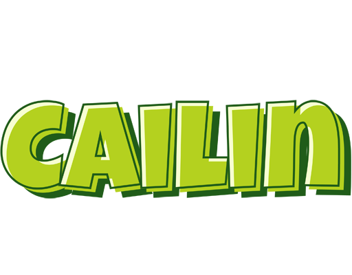 Cailin summer logo