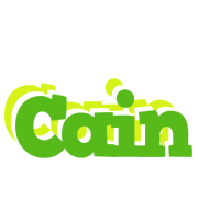 Cain picnic logo