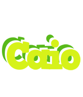 Caio citrus logo