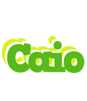 Caio picnic logo