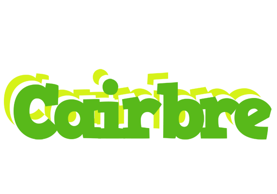 Cairbre picnic logo