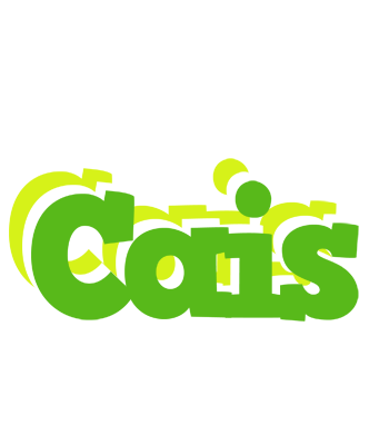 Cais picnic logo