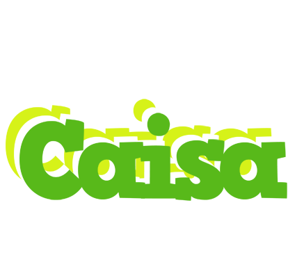 Caisa picnic logo