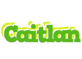 Caitlan picnic logo