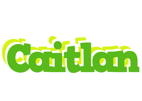 Caitlan picnic logo