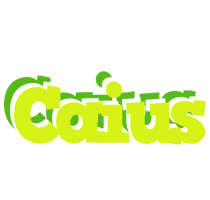 Caius citrus logo