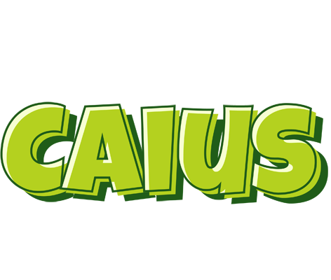 Caius summer logo