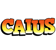 Caius sunset logo