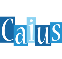 Caius winter logo