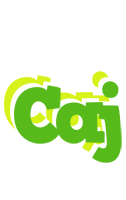 Caj picnic logo