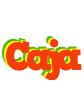 Caja bbq logo