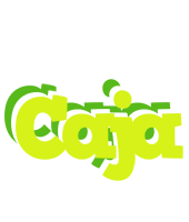 Caja citrus logo