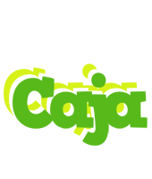 Caja picnic logo