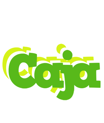 Caja picnic logo