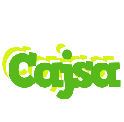 Cajsa picnic logo