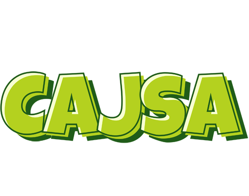 Cajsa summer logo