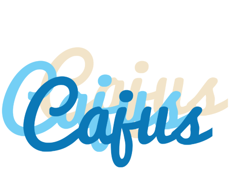 Cajus breeze logo