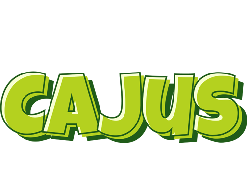 Cajus summer logo