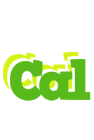 Cal picnic logo