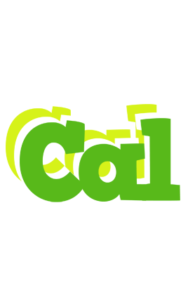 Cal picnic logo