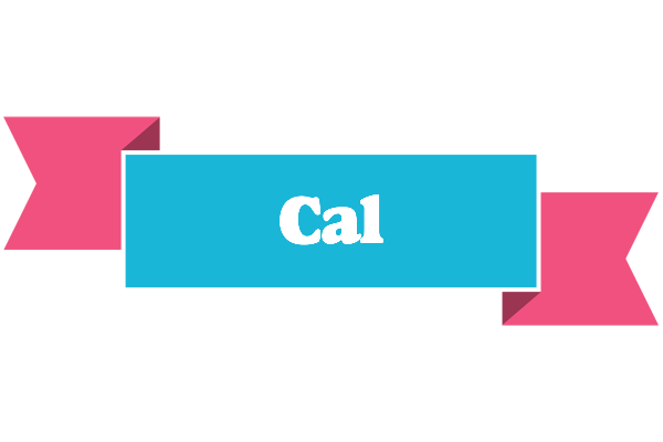 Cal today logo