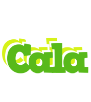 Cala picnic logo