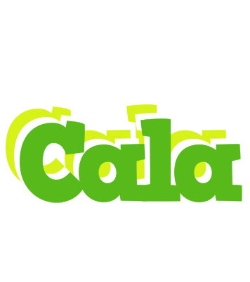 Cala picnic logo
