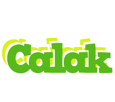Calak picnic logo