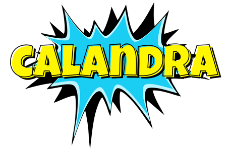 Calandra amazing logo