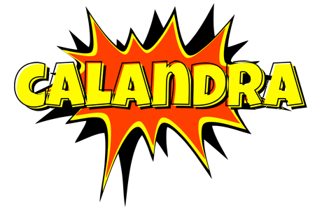 Calandra bazinga logo