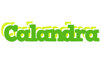 Calandra picnic logo