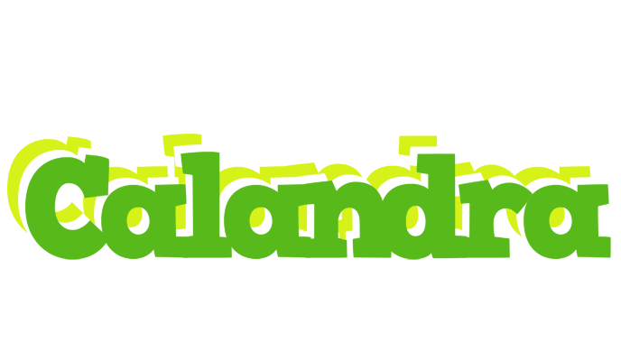 Calandra picnic logo