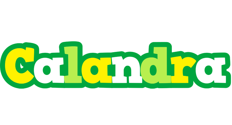 Calandra soccer logo