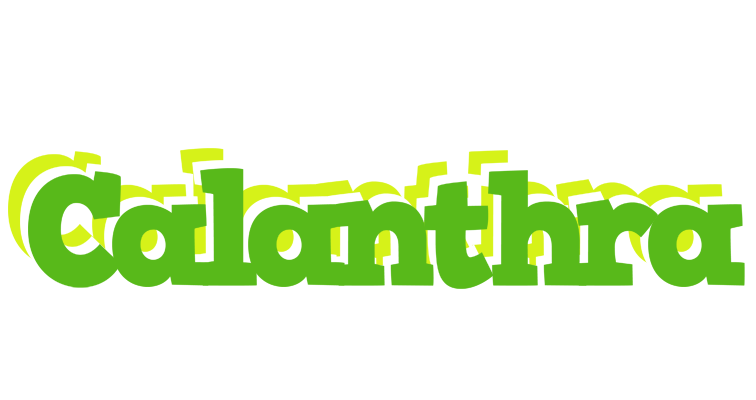Calanthra picnic logo