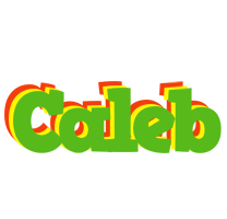 Caleb crocodile logo