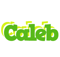 Caleb picnic logo