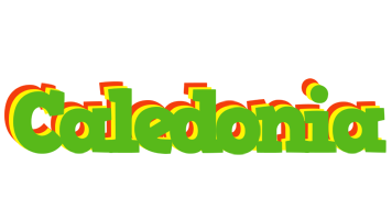 Caledonia crocodile logo