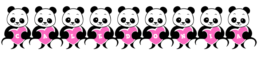 Caledonia love-panda logo