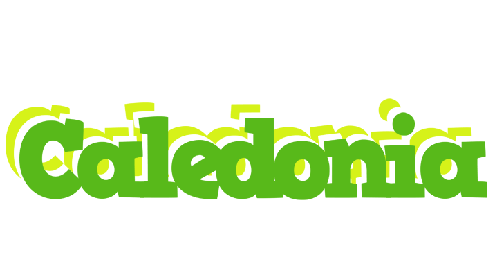 Caledonia picnic logo